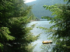 one of the lakes close to Cluj ...