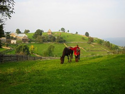horse riding on Cluj neighborhood... 