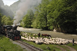 a journey on Vaser valley